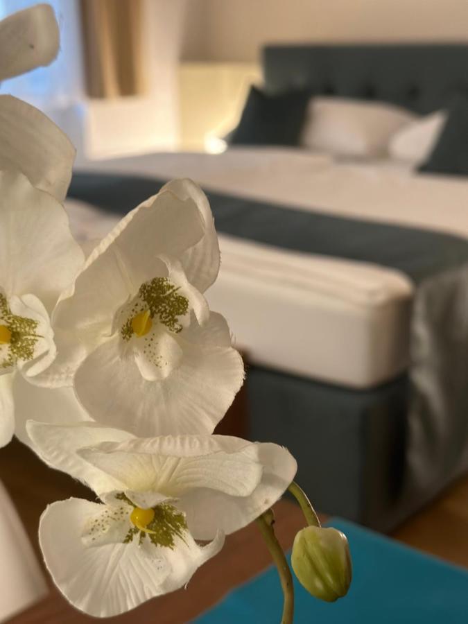 Sweet - A Cozy Welcome Appartement Vienne